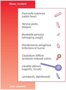 Scale of virulence among different pathogens