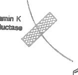 Vitamin K reductase inhibition