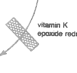 Vitamin K epoxide reductase inhibition