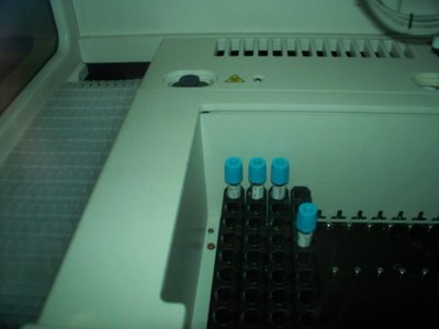 Cuvettes and samples in analyzer