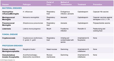 Table of nervous system diseases: pathogens, transmission, treatment, prevention