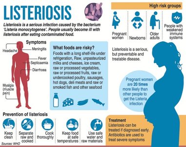 Listeriosis infographic: symptoms, risk groups, prevention