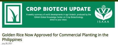 Golden Rice approval for commercial planting