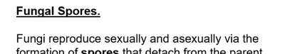 Asexual spores types