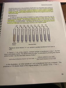 Serial dilution diagram
