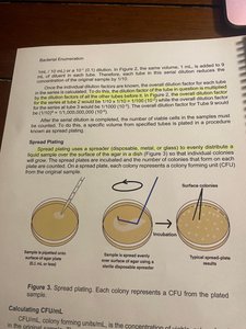 Spread plating diagram