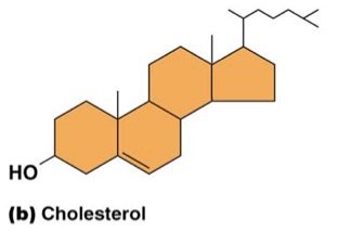 Hopanoid structure