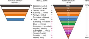 Virus taxonomy ranks