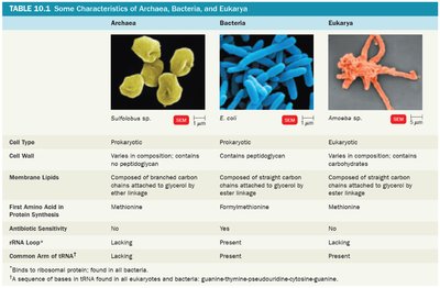 Table of characteristics of Archaea, Bacteria, and Eukarya