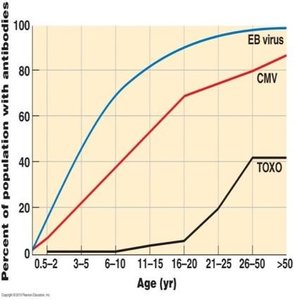 Graph showing age distribution of EBV, CMV, and TOXO antibodies