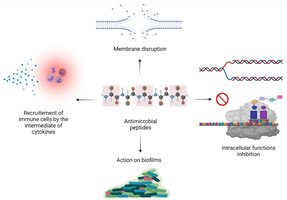 Mechanisms of antimicrobial peptides