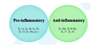 Pro- and anti-inflammatory cytokines
