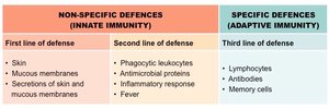 Table comparing innate and adaptive immunity