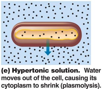Hypertonic solution