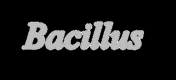 Bacillus title