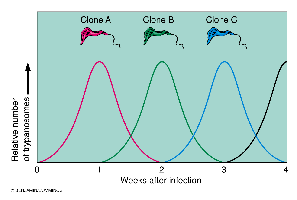 Graph showing antigenic variation in trypanosomes