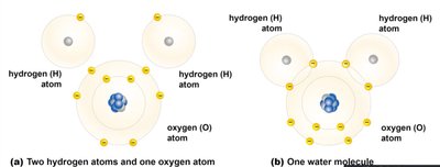 Examples of covalent bonds