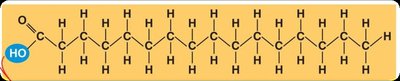 Ionic bond formation