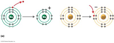 Sodium and chloride ions