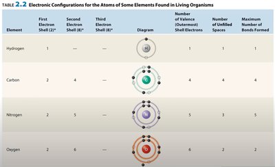 Table of electronic configurations for living elements