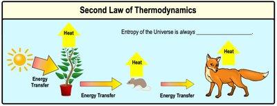 Second Law of Thermodynamics: Energy Transfer and Heat Loss