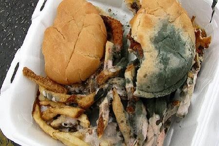 Spoiled food with mold growth