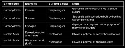 Table of biomolecules: carbohydrates and nucleic acids