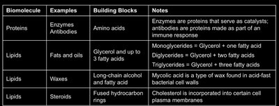 Table of biomolecules: proteins and lipids