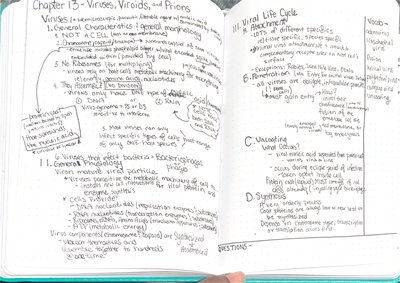 Handwritten notes on Chapter 13: Viruses, Viroids, and Prions, including viral structure and life cycle