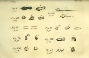 Louis Pasteur's experiment