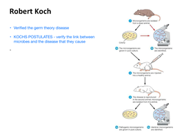 Koch's postulates experiment