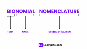 Binomial nomenclature