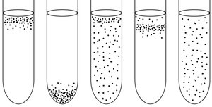 Growth patterns of bacteria in thioglycollate tubes