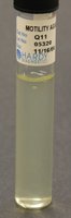 Uninoculated motility agar tube