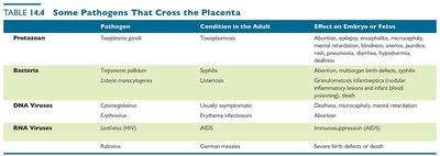 Table of pathogens that cross the placenta