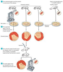 Relative virulence of microbial pathogens