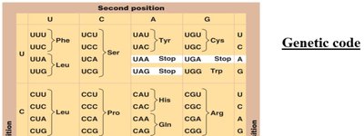 Genetic code table