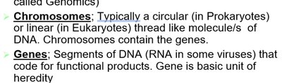 Chromosomes and genes definitions