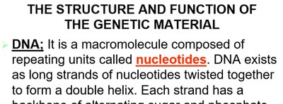 DNA structure and nucleotides