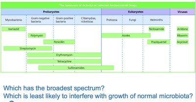 Spectrum of activity of antimicrobial drugs
