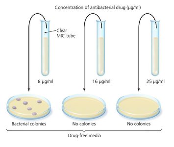 MBC test with plates