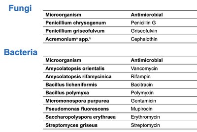 Table of antibiotic sources from fungi and bacteria