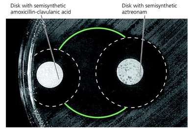Synergism between antimicrobial agents