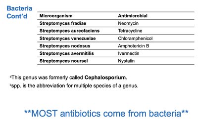 Table of antibiotic sources from bacteria