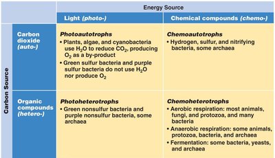 Table of microbial nutritional types