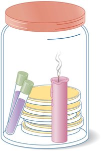Candle jar for low-oxygen culture
