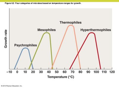 Temperature ranges for microbial growth