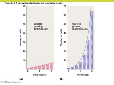 Arithmetic vs logarithmic growth
