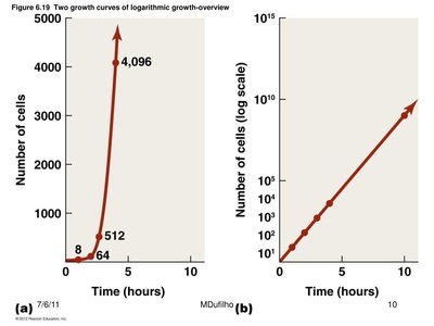 Logarithmic growth curves