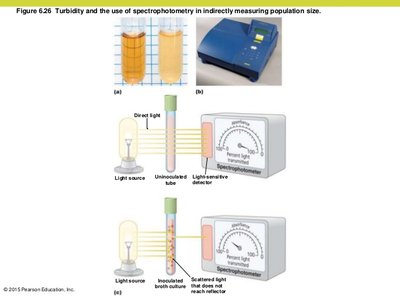 Turbidity and spectrophotometry